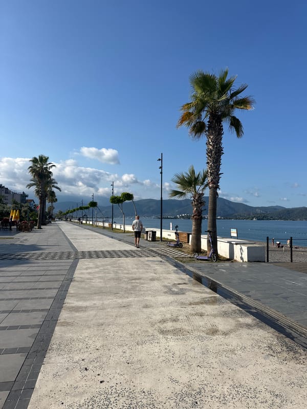 Man feeds stray cats at Fethiye waterfront promenade
