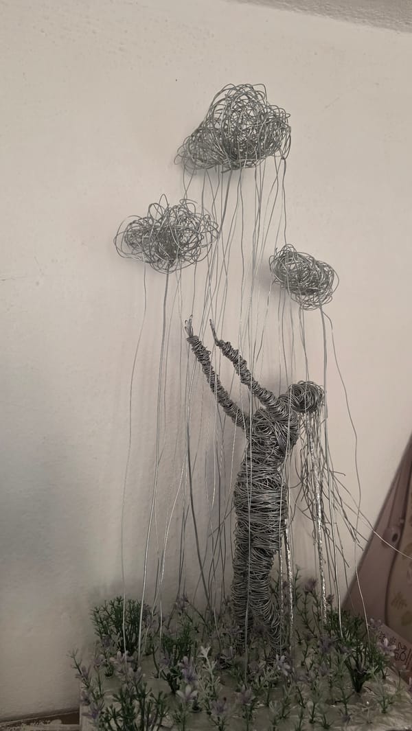 Glasses-wearing dog and wire swimmer art documented in Bulgaria