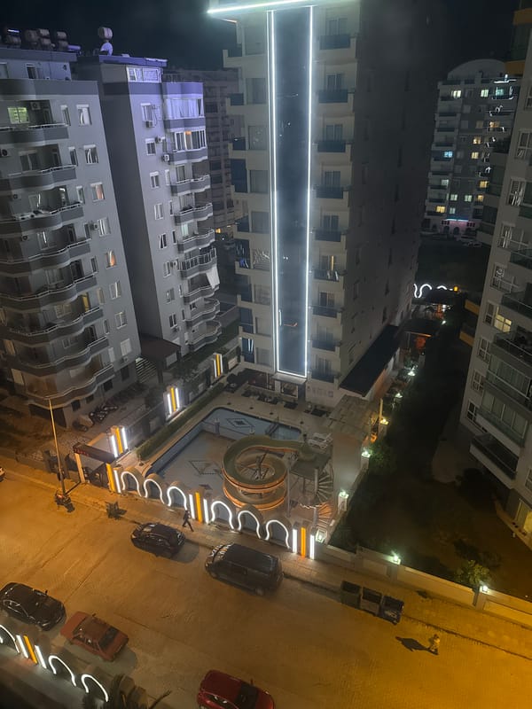 Nighttime city views and cat documented in 15-minute span