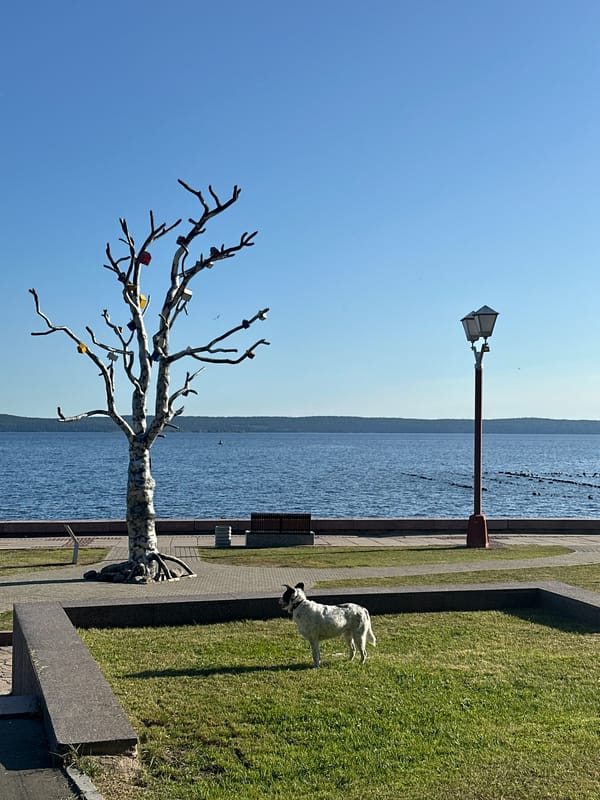 Summer morning activity along Petrozavodsk's Lake Onega embankment