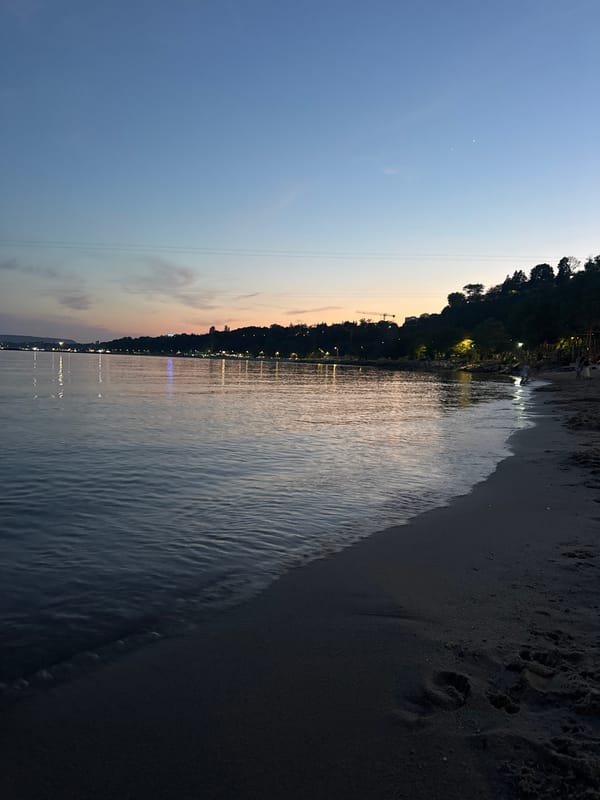 Evening moments captured in Varna: beach sunset, snail, cat