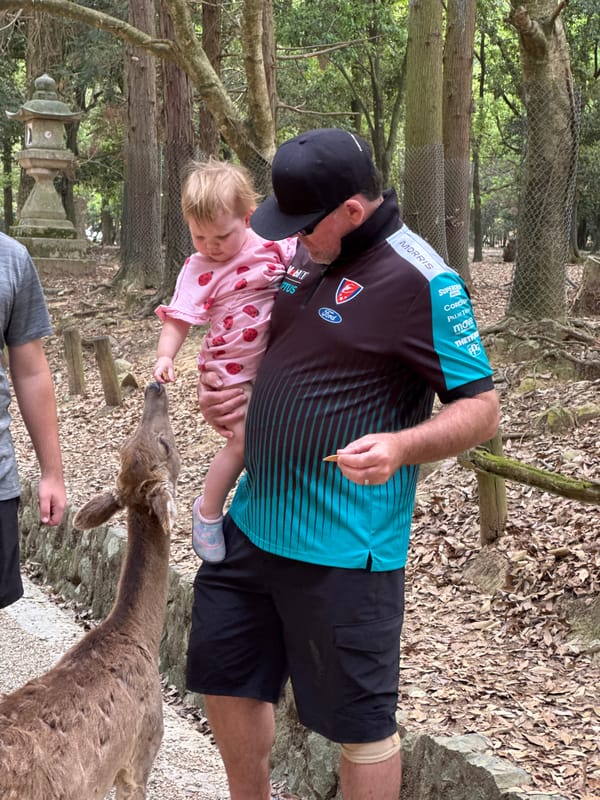 Early morning wildlife encounters documented at Nara Park