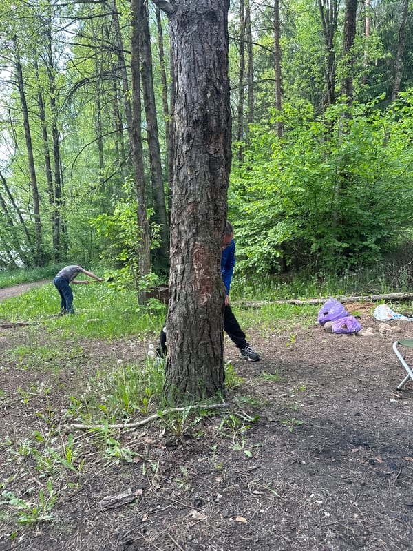 Forest camping group documented in Belarus rural area