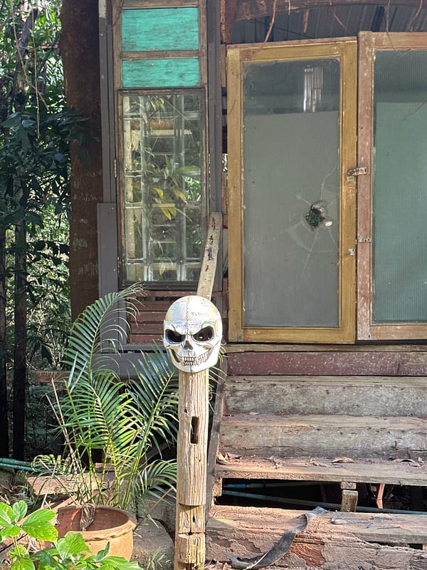 Weathered wooden structure observed in tropical Ko Samui vegetation