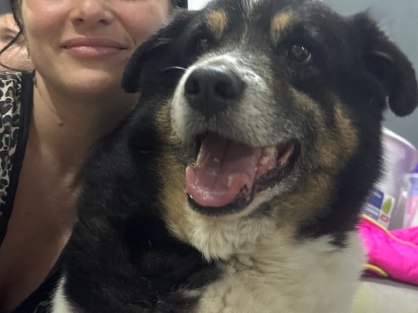 Woman poses with dog indoors in Rusalevka, Russia