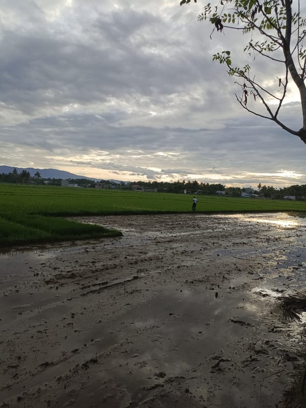 Muddy field with tire tracks observed in Sukon Mesjid