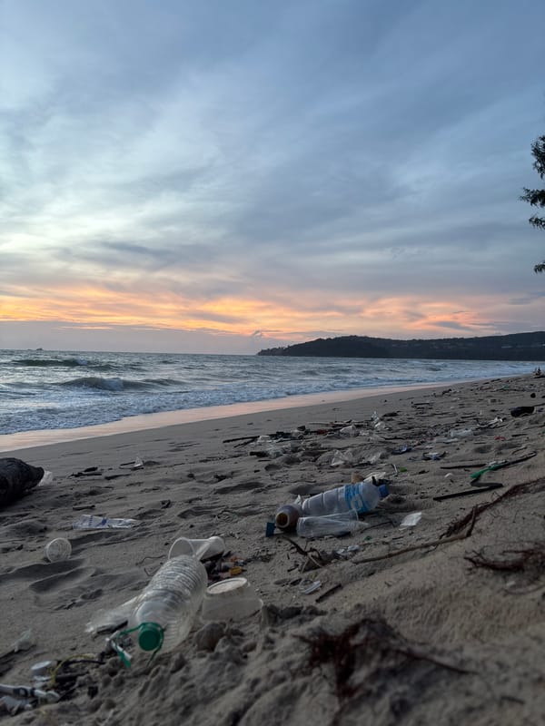 Choeng Thale beach shows pollution alongside scenic sunset horseback riding