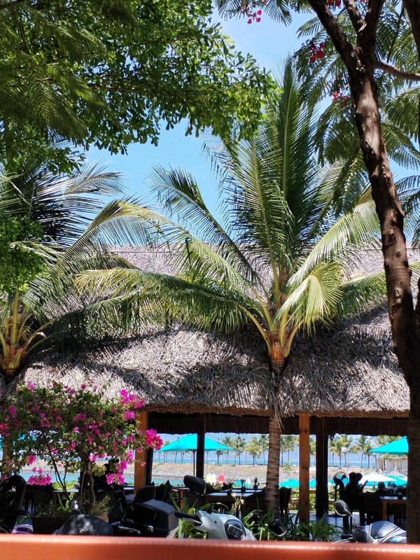 Morning life unfolds in Vietnamese coastal ward