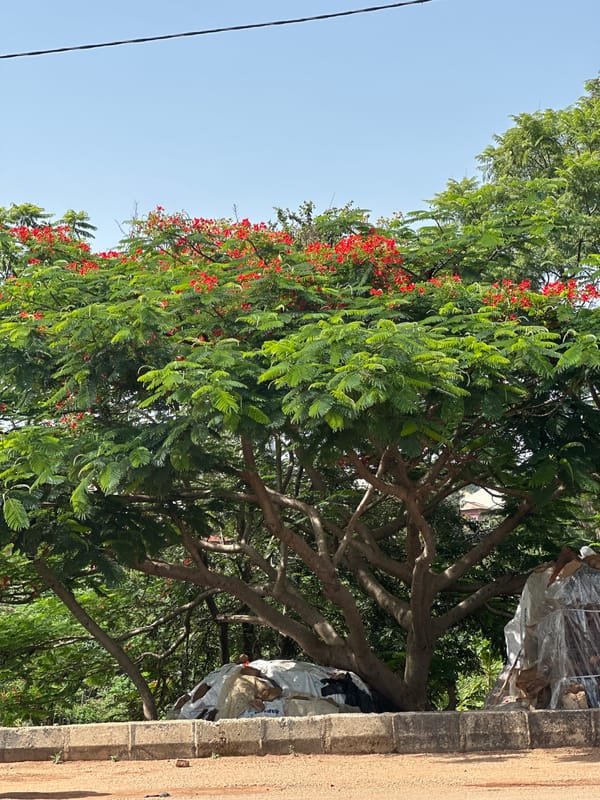 Daily life moments captured across Jos, Nigeria neighborhoods