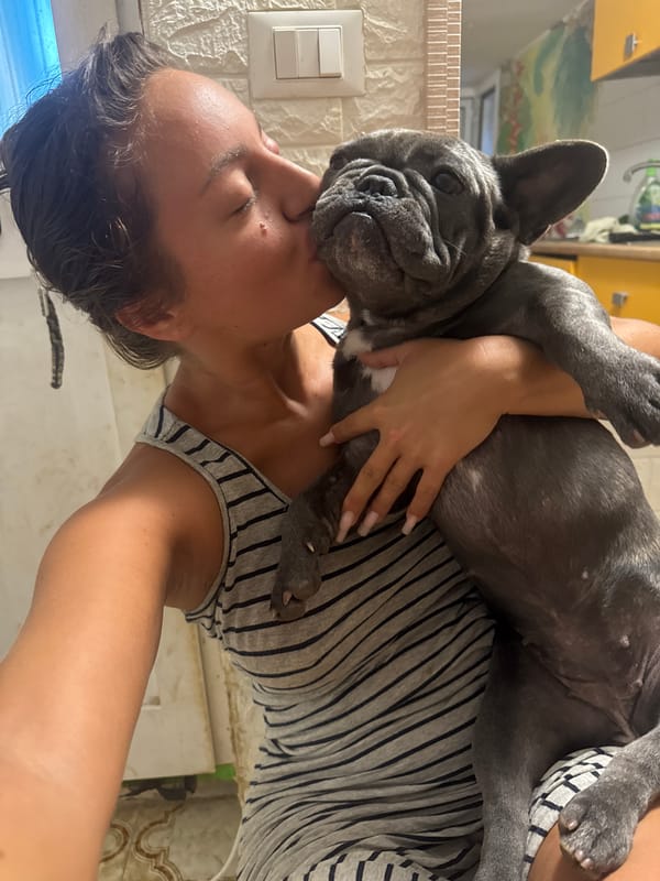 Two French Bulldogs living their best life at home in Italy