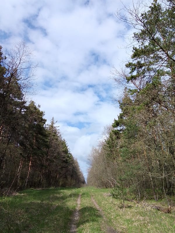 Rural landscape documented in Елец-Маланино, Russia