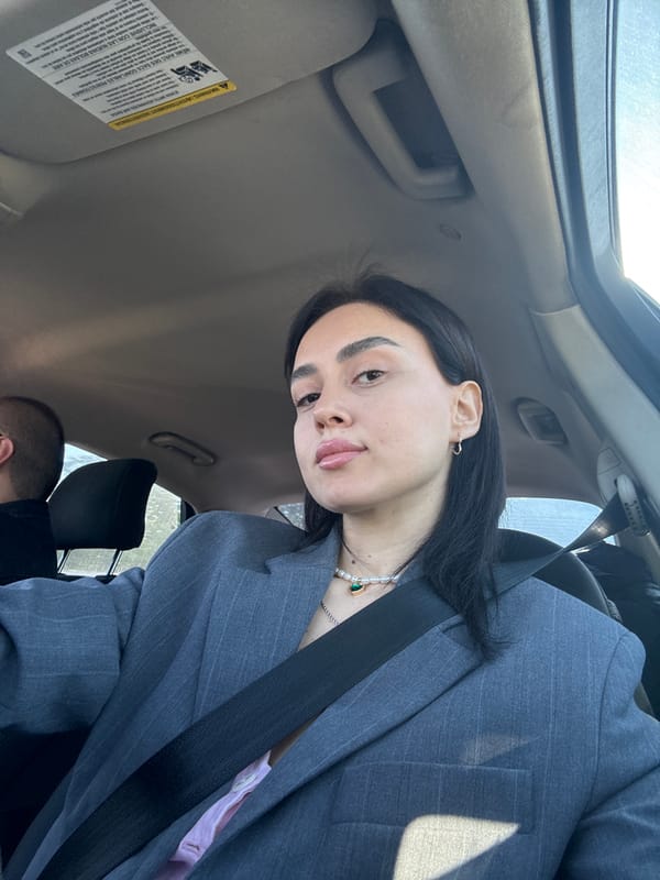 Person in pinstripe suit observed in car in Tbilisi
