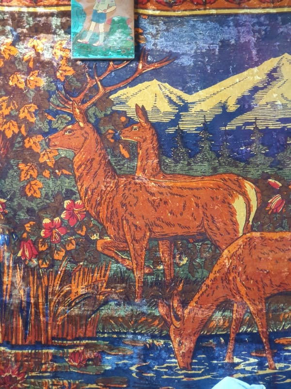 Everyday objects and home textiles from a Zubrești household