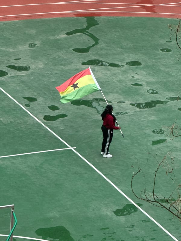 Flag-holding gathering on wet sports court in Beijing suburb