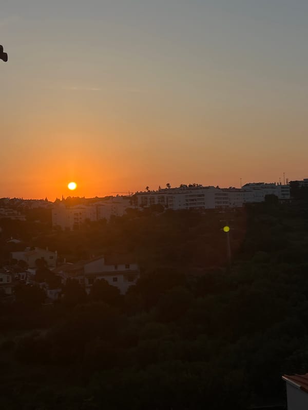 Cascais sunset over hilltop rooftops, with orchids in bloom