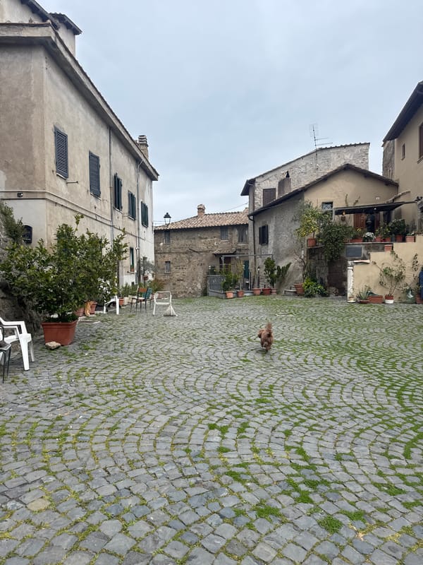 Daily life scenes captured in Italian cobblestone town