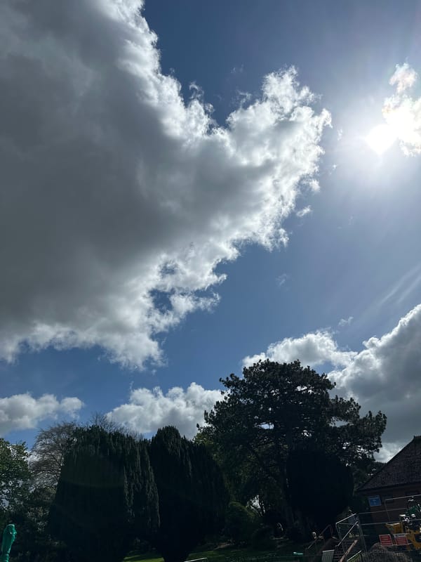 Sunday park outing documented in Macclesfield