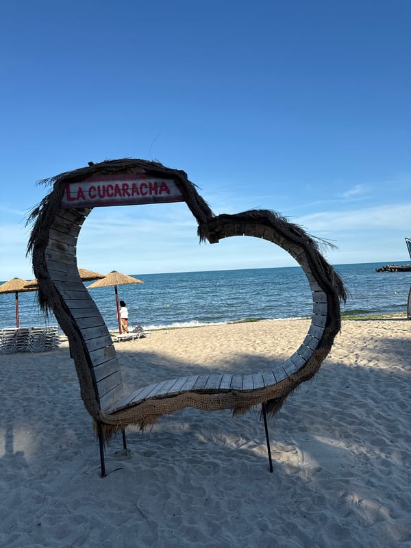 Beach bars, boardwalks, folk music, and cats in the sun