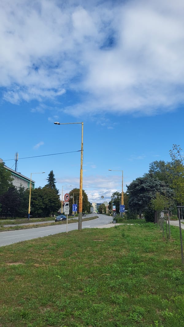 Summer streets and roadside wildflowers in Prešov, Slovakia