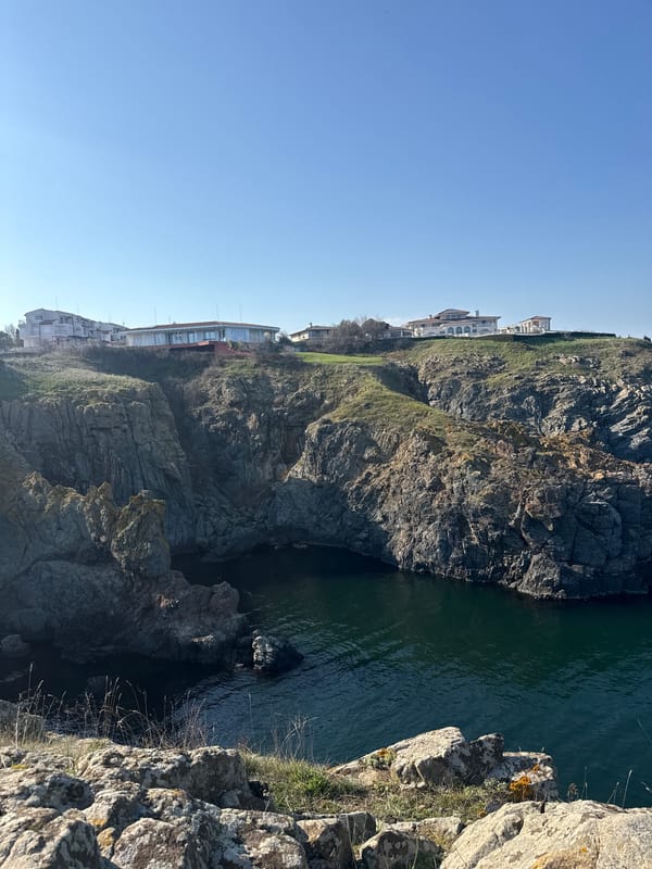 Person holds flower while viewing Sozopol coastline from cliff