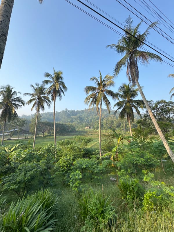 Rural roads, palm trees, and a local office in Alian, Indonesia