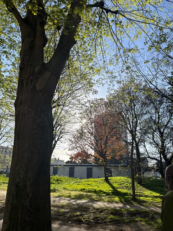 Spring wildlife spotted in Sarcelles park during afternoon walk