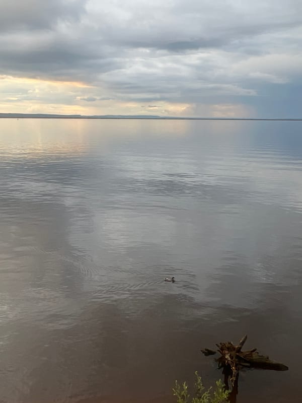 Golden hour waterscape documented in Chaikovsky, Russia