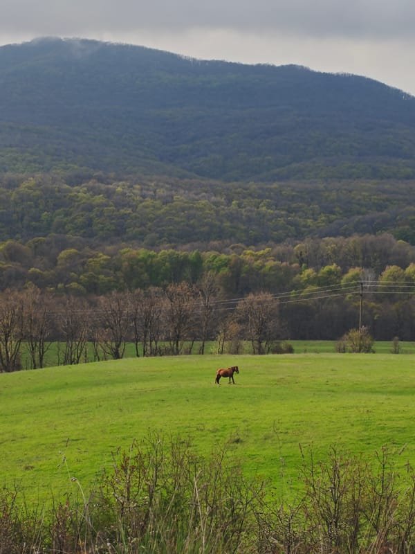 Rural landscape documented in Izgrev, Bulgaria countryside