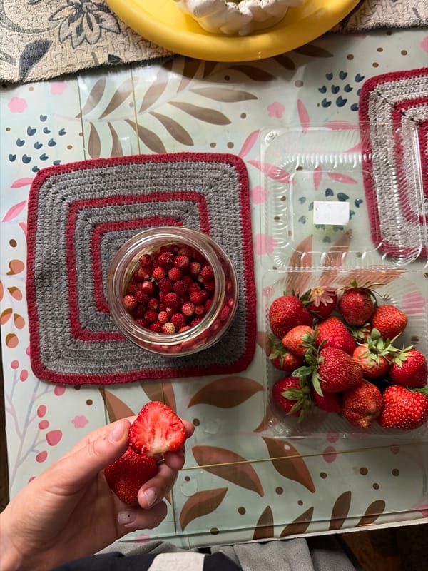 Pets, pasta, and strawberries: a domestic afternoon in Lyubertsy