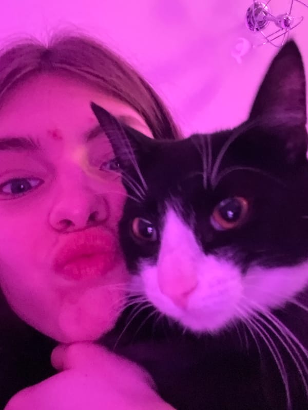 Evening selfies with cat under purple lights in Saint Petersburg