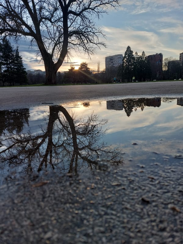 Urban twilight scenes captured across city during evening hours