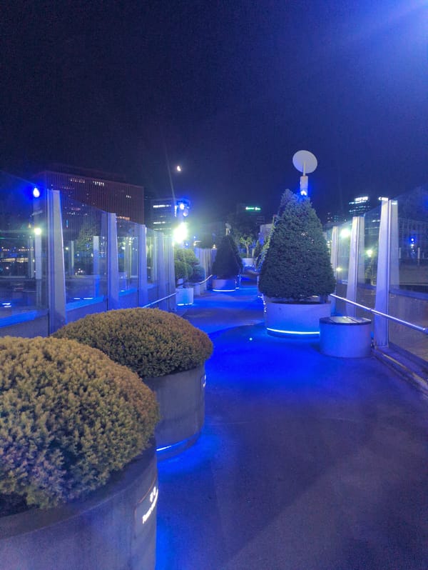 Evening documentation captures Seoul's Jung-gu district scenes, art installations