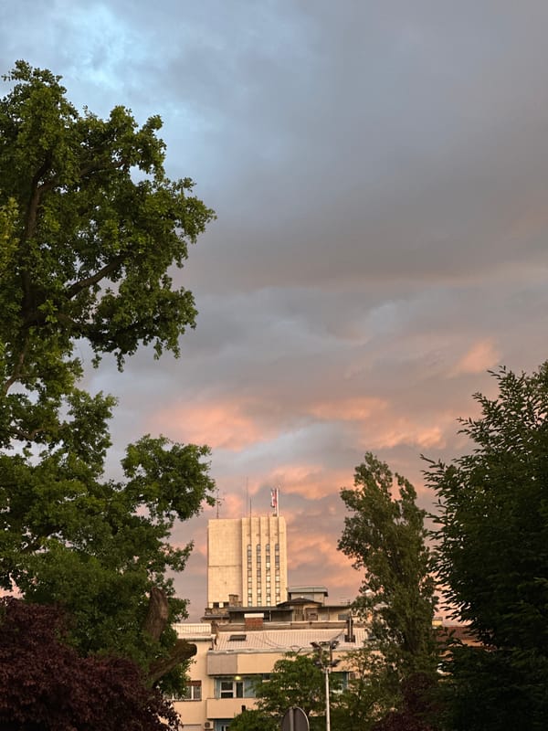 Evening sunset colors observed across Novi Sad streets