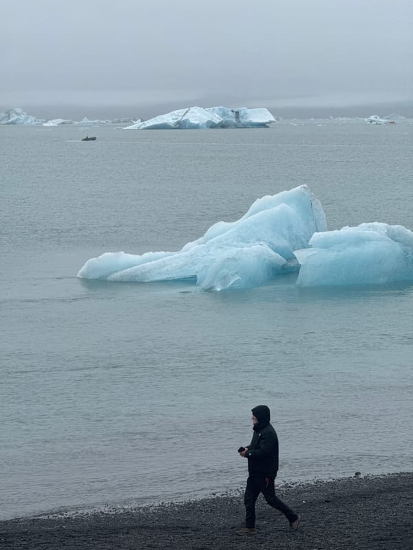 Visitor observes icebergs at Iceland's Jökulsárlón glacier lagoon