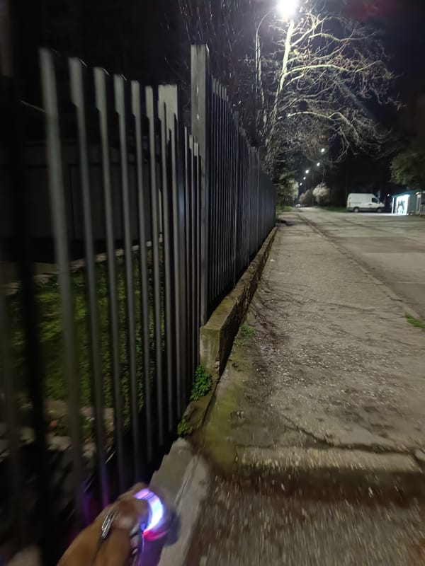 Nighttime stroll documented in Pleven, Bulgaria with dog encounter