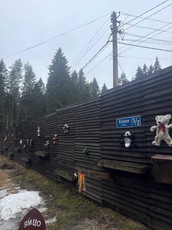 Stuffed animal-decorated building facade spotted in Syar'gi, Russia
