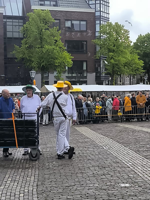 Traditional cheese market draws crowds in Alkmaar, Netherlands