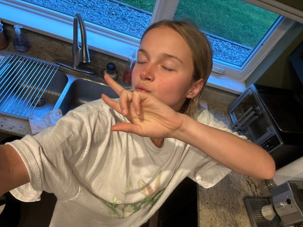 Woman observed upside down in Whistler kitchen