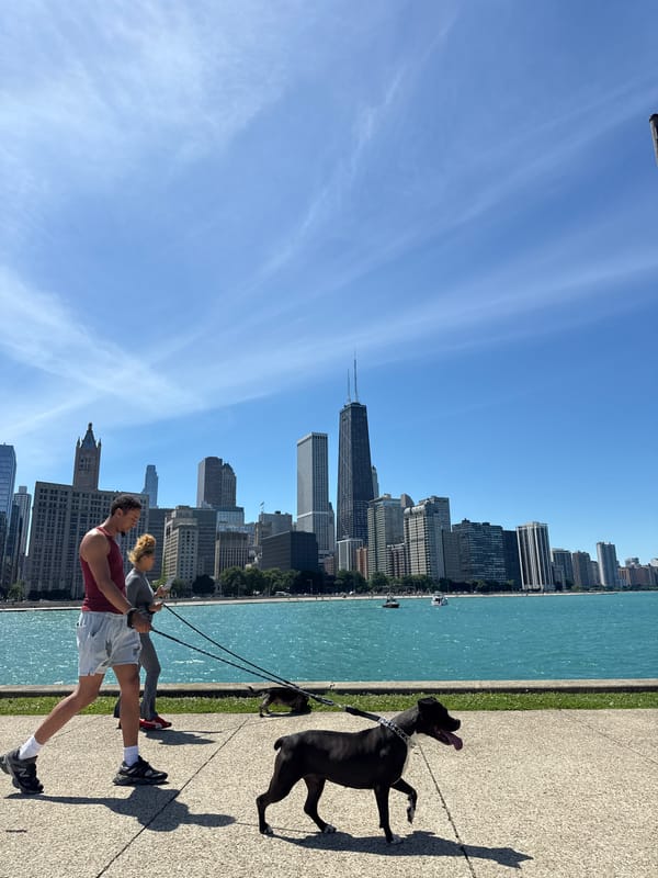 Sunny afternoon across Chicago's streets, waterways, and rooftops
