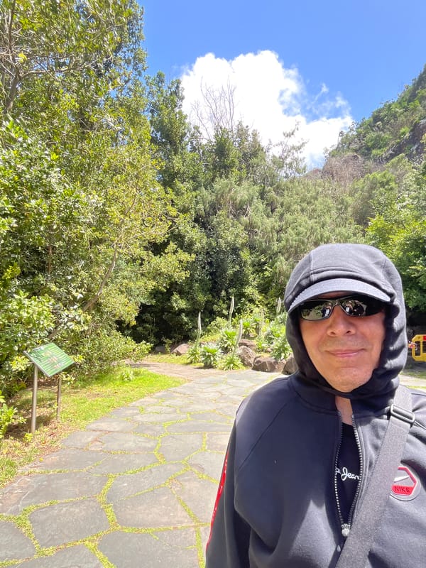 Botanical documentation session captured in Las Palmas gardens