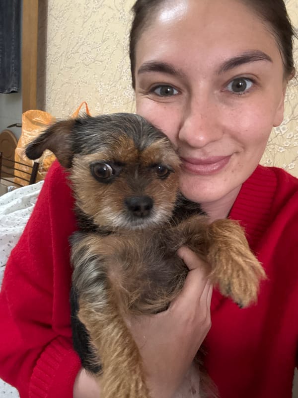 Morning moments captured in Sochi: pet owner, car passengers