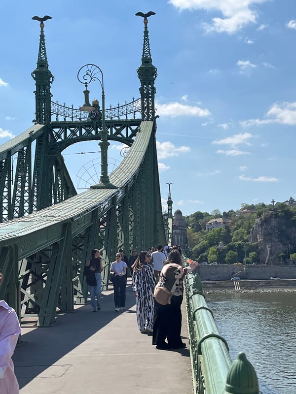 Tourists visit Liberty Bridge as cruise boat navigates Danube
