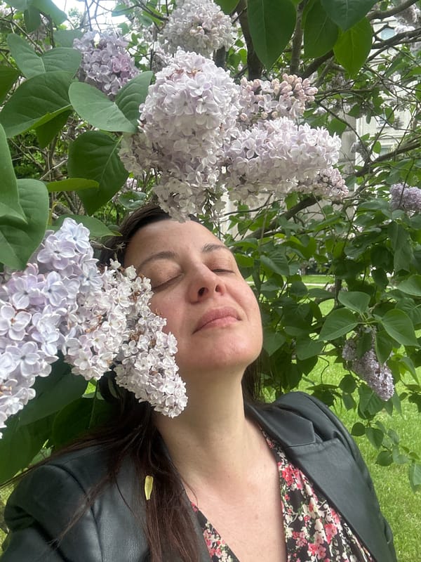 Spring blooms documented by witnesses in Riga parks