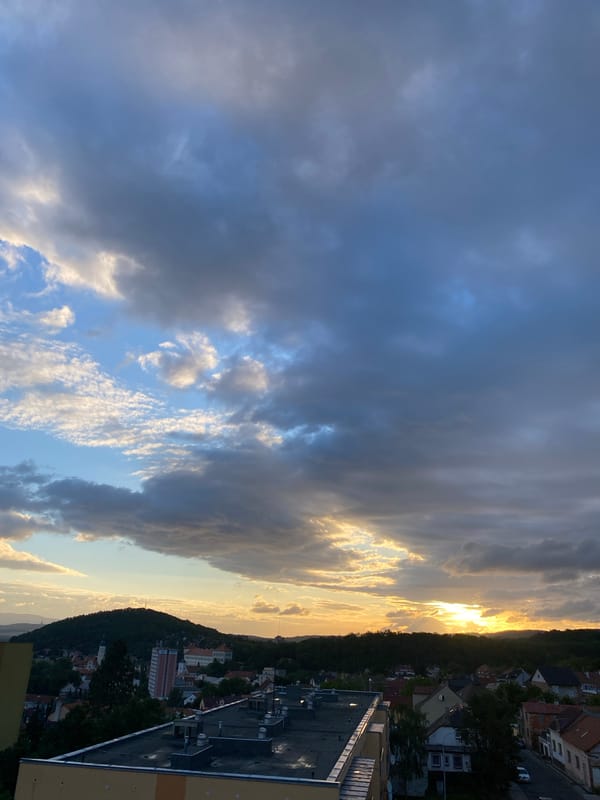 Evening at home with cats in Bílina, Czechia