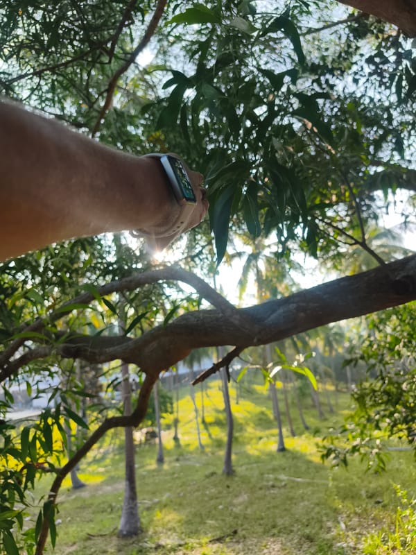 Person reaches into tree in บ้านบางรักษ์, Thailand
