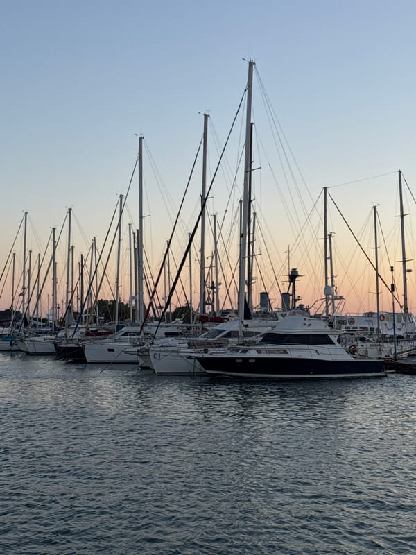 Golden hour Athens: marina, cats, flowers, and outdoor art
