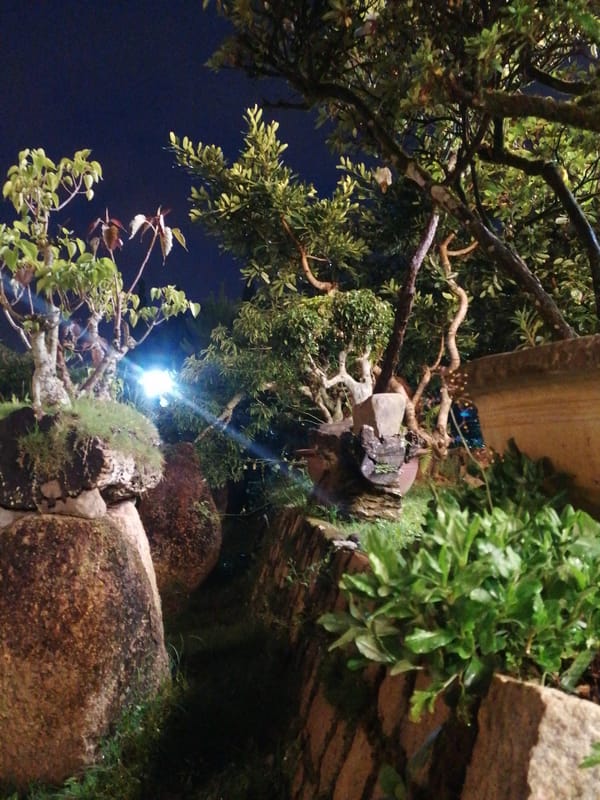 Evening temple visits and garden exploration in Da Lat