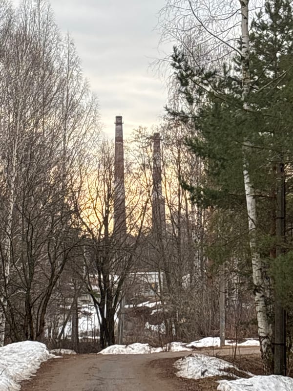 Morning scenes captured in Chaikovsky: birch trees, industrial walkway