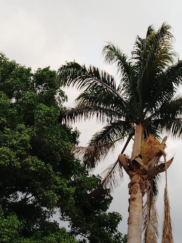 Everyday moments captured across Tinaquillo, Venezuela