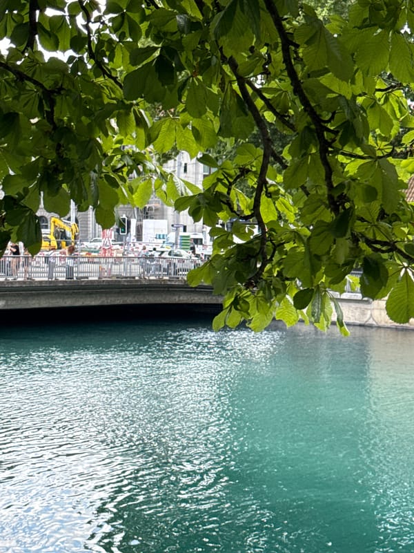 Afternoon along Zurich's Limmat River promenade